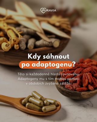 Adaptogeny nejsou rychlá zkratka, ale chytrá podpora ve chvílích, kdy je toho na tělo i mysl prostě moc. Pomáhají zvládat...