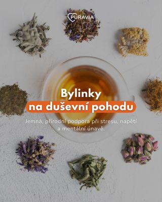 Stres, vnitřní napětí nebo únava se mohou projevit různě — od přetížené hlavy až po potíže se spánkem. Některé bylinky...